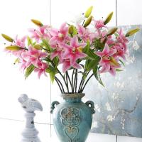 uploads/erp/collection/images/Home Garden/CongDing/XU0612295/img_b/XU0612295_img_b_1